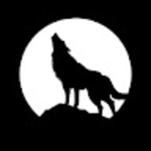 Meet your Posher, Gitty